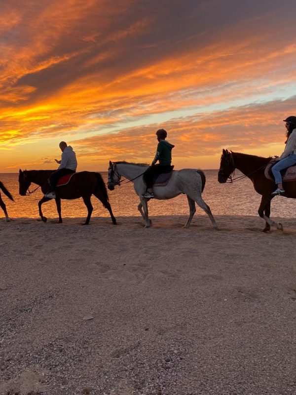 residenze-corallo-orosei-attivita-escursioni-cavallo-01