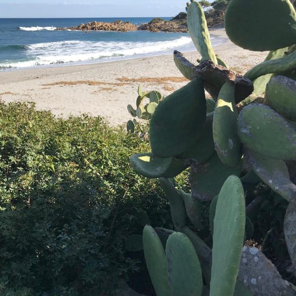 residenze-corallo-orosei-destinazione-cala-liberotto-spiaggia-02